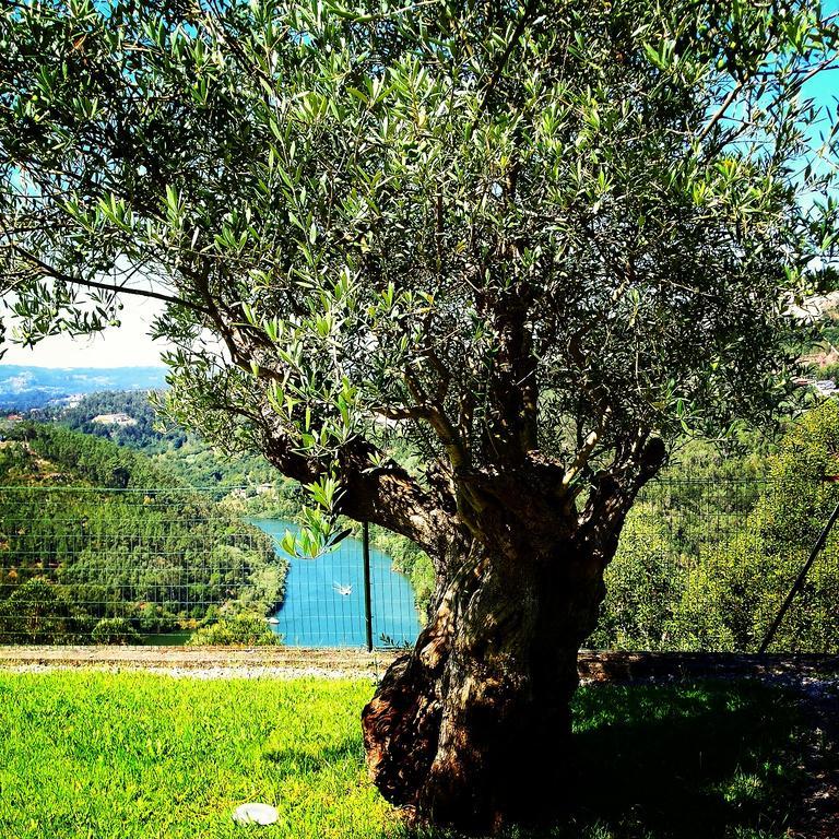 Quinta Das Tilias Douro Valley Cabaca Εξωτερικό φωτογραφία