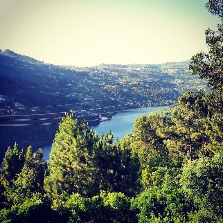 Quinta Das Tilias Douro Valley Cabaca Εξωτερικό φωτογραφία